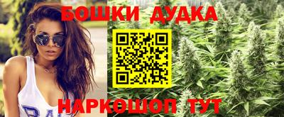 прущие грибы Кинель
