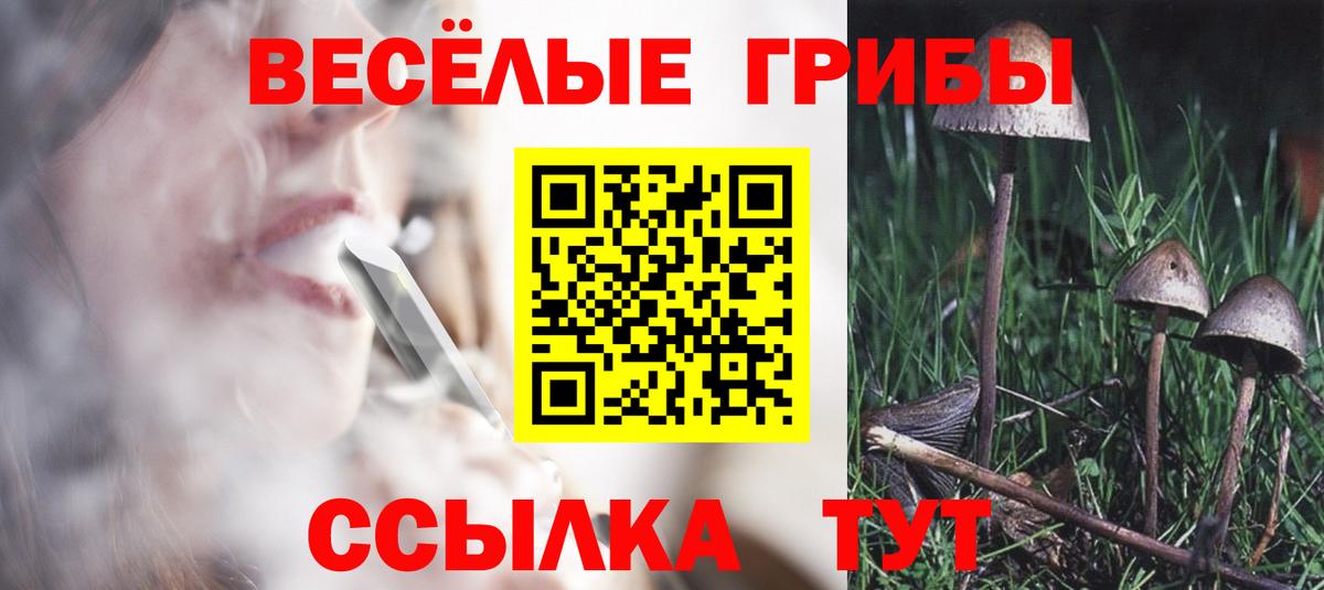 Псилоцибиновые грибы Magic Shrooms Краснодар